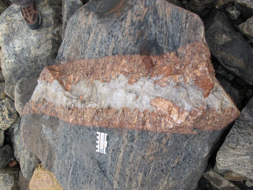 Photo 2022-252 : Archean basement granodiorite gneiss (Agd) cut by Hudson pegmatite dyke (pPHm) in a boulder at the Hudson Bay coast