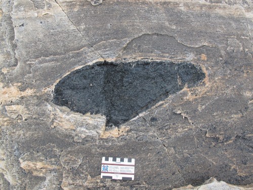 Photo 2022-253 : Clinopyroxenite boudin in biotite granodiorite basement (Agd) gneiss near the Hudson Bay coast