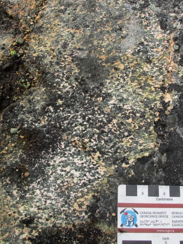 Photo 2022-258 : Medium grained, homogeneous, and weakly foliated pyroxene granulite (pPDBpg) in the Daly Bay complex