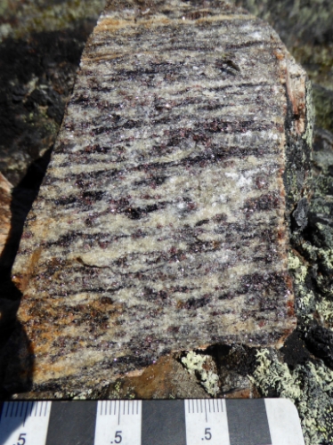 Photo 2022-262 : Garnet+biotite semipelite gneiss (AKLsp) from a thin supracrustal strand in the Kummel Lake domain