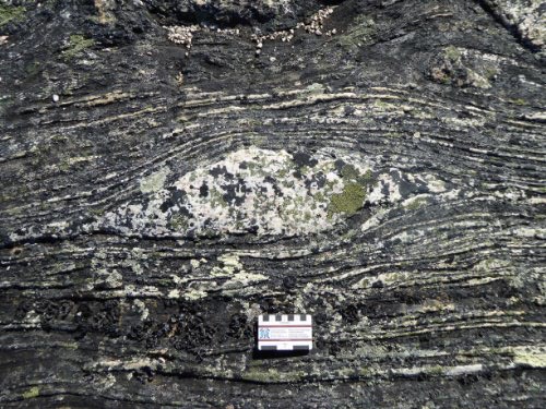 Photo 2022-266 : Boudinaged leucosome layer in basement granodiorite gneiss (Agd) with dextral shear sense in the Wager shear zone