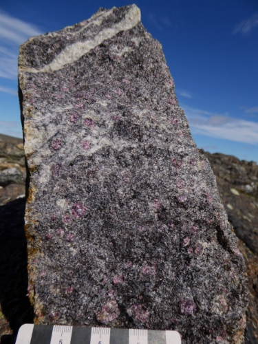 Photo 2022-268 : Close-up of garnet+biotite+sillimanite+cordierite pelite (APsp) in the Archean Paliak belt found north of the Wager shear zone