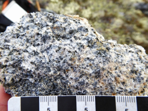Photo 2022-270 : Close-up of the ca. 1833 Ma biotite+magnetite±hornblende monzodiorite intrusive phase (pPmd) identified along the central and western segments of the  ...