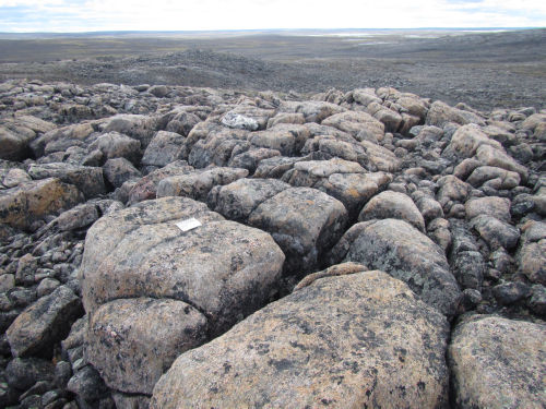 Photo 2022-317 : Deeply weathered Hudson granite outcrop sampled for cosmogenic nuclide exposure dating under the 
Keewatin Ice Divide.