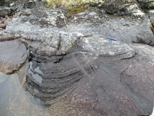 Photo 2022-319 : 5c) Medium grey gabbro with convex-upward laminae enclosed in massive pinkish grey granodiorite at the edge of a small lake on, northeastern part of  ...
