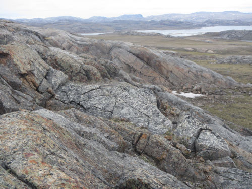 Photo 2022-352 : Field exposure of enclaves of psammite cut by leucogranite diatexite at Thom Bay