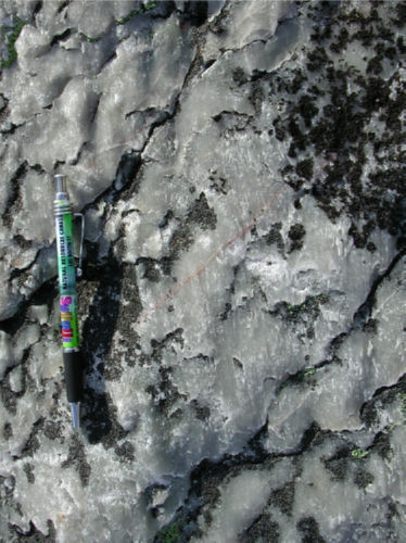 Photo 2022-409 : Fig. 10C. Shingling and mineral lineation on a transposed bedding plane parting (SP1a) in pale green vitreous quartzite also in the R22 area (Fig. 8).