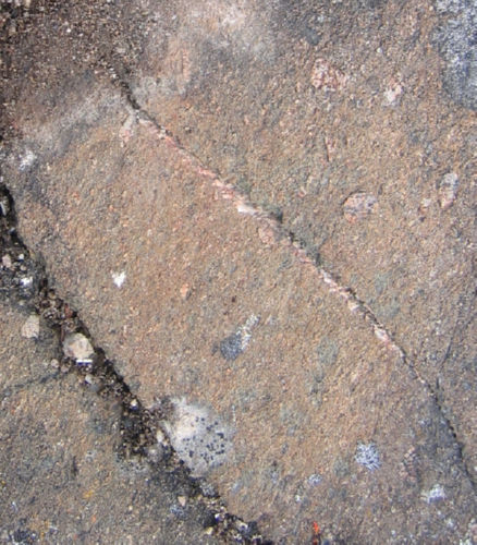 Photo 2022-417 : Fig. 11F. Detail of pink-weathering plagioclase phenocrysts in foliated basalt just north of E.