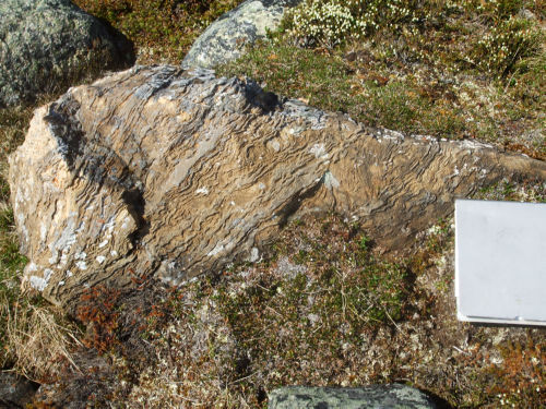 Photo 2022-420 : Fig. 12C. Upper dolomitic sandstone marker of the Oora Lake formation at station 09JP026B (northeast end of belt, Fig. 8), 540 m northeast of and  ...