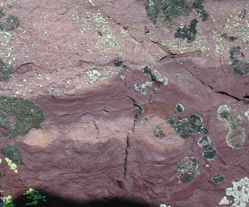 Photo 2022-424 : Fig. 14C. Typical brick red mudstone interbeds and intraclasts in pink lithic feldspathic sandstone of the T2 formation on the northwest side of  ...