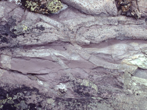 Photo 2022-425 : Fig. 14D. Compacted sand-filled shrinkage cracks or clastic dykes (T2 formation, east-central NTS 66G2).