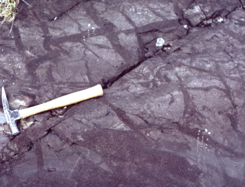 Photo 2022-426 : Fig. 14E. Rectilinear sand-filled cracks (dark red) in pale red siltstone (T2 formation, east central NTS 66G2).