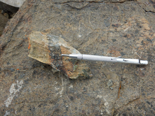 Photo 2022-474 : Chromitite schlieren/layer in a strongly serpentinized dunite