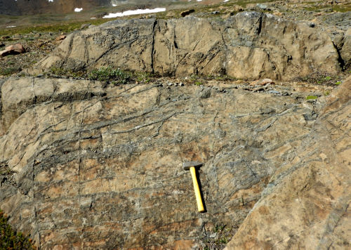Photo 2022-480 : Dunite cross-cut by several generations of clinopyroxenite dikes. Clinopyroxenite dikes range from sharp and tabular to irregular and undulose and  ...