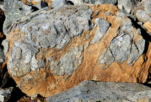 Photo 2022-487 : Angular blocks of olivine clinopyroxenite, showing various extents of mechanical disaggregation, in a foliated serpentinized dunite matrix