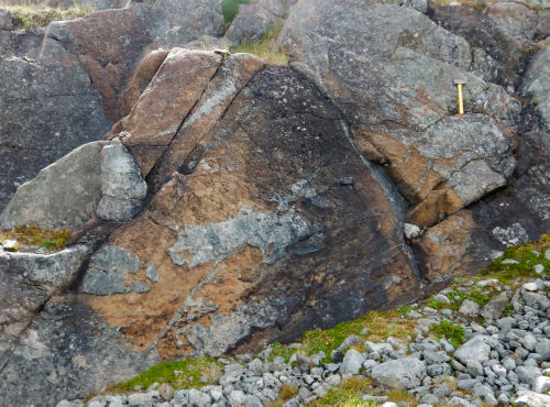 Photo 2022-493 : An irregular, massive body of dunite intruding olivine clinopyroxenite. Angular blocks of olivine clinopyroxenite are seen stoping into dunite on the  ...