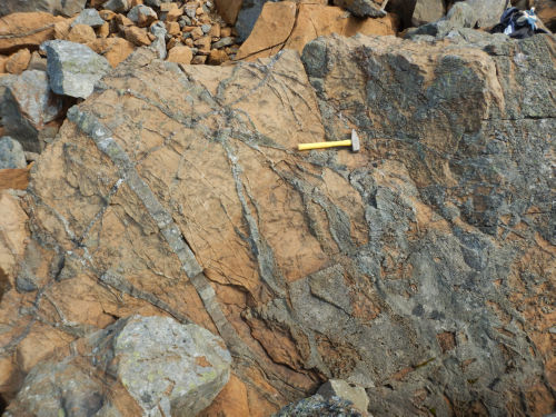Photo 2022-495 : A large (~10 m-size) boulder of dunite cut by at least three generations of olivine clinopyroxenite