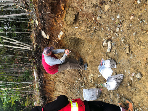 Photo 2022-575 : Collecting samples from a vertical till section for matrix geochemistry and indicator mineral analysis
