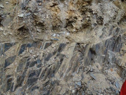 Photo 2022-579 : Black shale with quartz vein