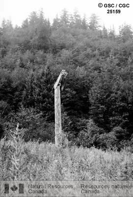 Photo 25159 : Totem surmonté d'un aigle, extrémité est de l'île Maud (Colombie-Britannique)