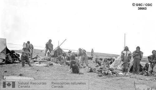Photo 38663 : Campement inuit à l'embouchure de la rivière Coppermine, le 31 mai 1916