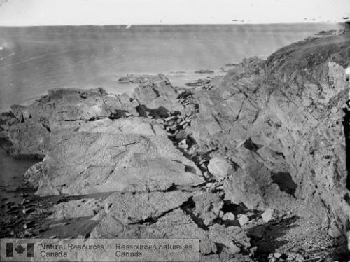 Photo 79: Ripple marks on lower Helderberg rocks, Arisaig, N.S