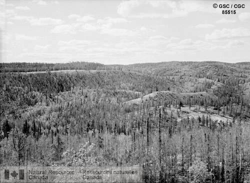 Photo 85515 : Esker, région de la rivière Snare, district de Mackenzie (T.N.-O.)