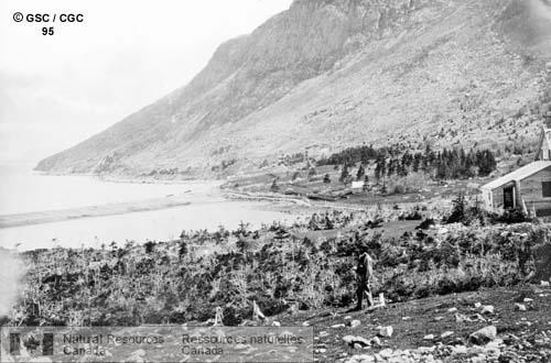 Photo 95 : Topsail Head, Terre-Neuve. Cette photo date de 1874