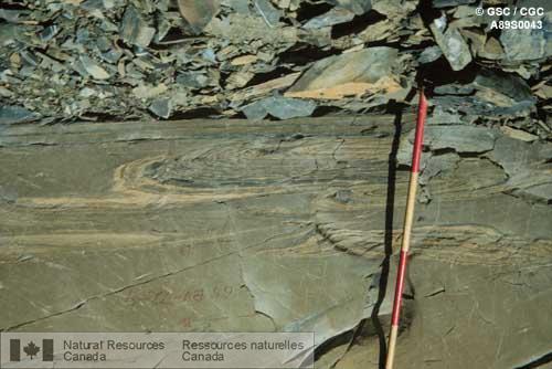 Photo A89S0043 : Clastes d'arrachement déformés et atténués à la base d'une turbidite, Formation d'Aida, Protérozoïque, nord-est de la Colombie- Britannique.