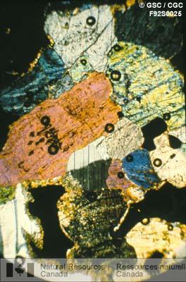 Photo F92S0025 : Photomicrographie de lame mince de magnétite titanifère dans l'anorthosite gabbroïque recueillie à la rivière Hall, Sept-Îles (Québec).