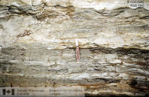 Photo KGS-1043 : Argiles marines du Pléistocène dans la vallée de la rivière Eastmain. SNRC 33 et 23 W. (Québec)