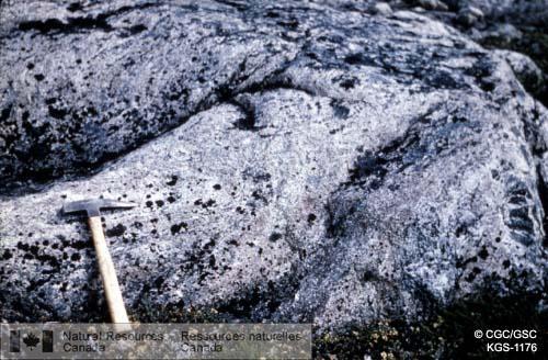 Photo KGS-1176 : Grands schlierens acides dans du gneiss de base, 30 miles à l'ouest du camp 4. Opération de Fort-George