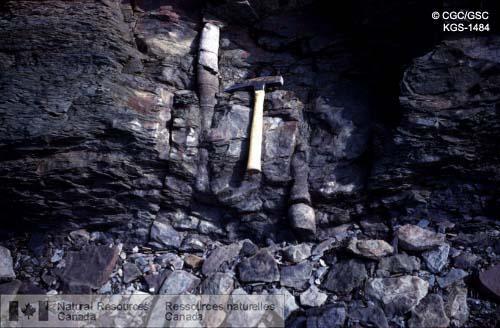 Photo KGS-1484 : Arbres fossiles dans le grès de Cheverie à Walton (N.-É.)